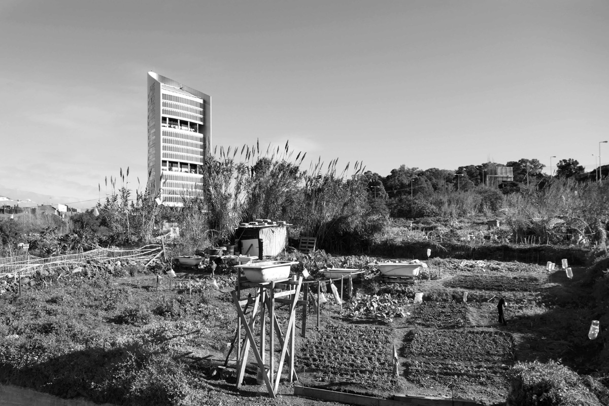 Habitação social e desenvolvimento urbano