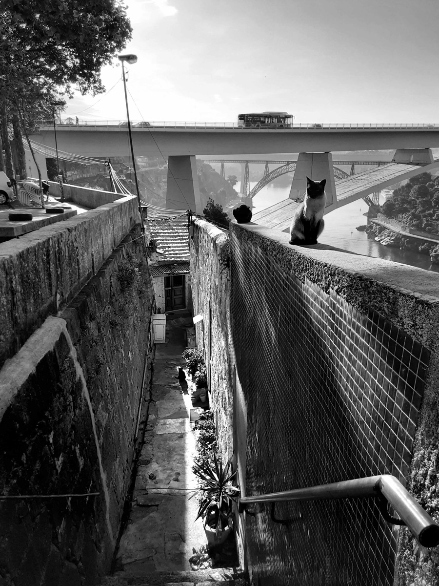 Políticas públicas de habitação e desenvolvimento territorial